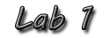 Lab 1